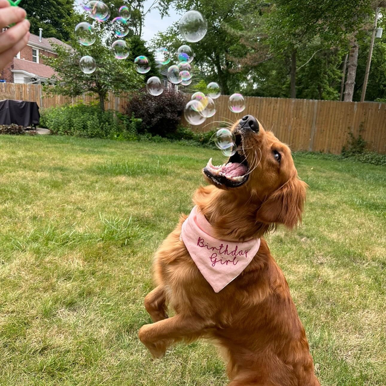 BubbleLick Peanut Butter Swirl Flavored Bubbles