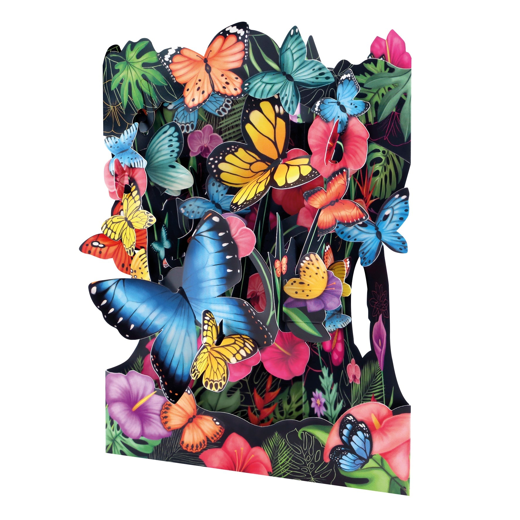Santoro Swing Card: Tropical Butterflies